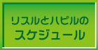 リスルとハピルのスケジュール